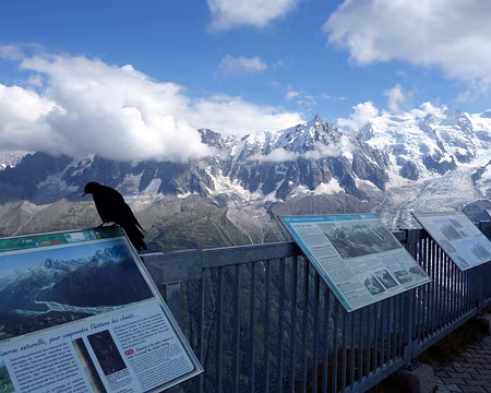 DSC04256 Le belv�d�re avec son chocard...