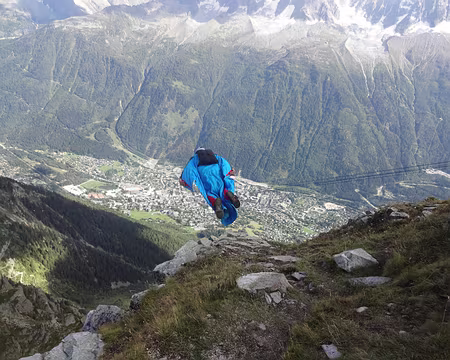 DSC04258a qui tombe plus qu'il ne vole !