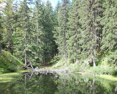 DSC04323 Le lac noir