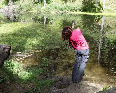 DSC04335 Lieu d'essais...