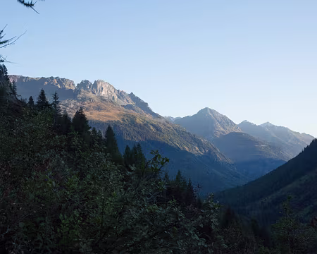 FM9A5967 D�part matinal du col des Montets