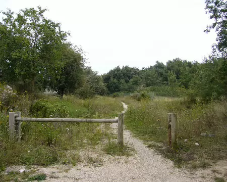 P1050989