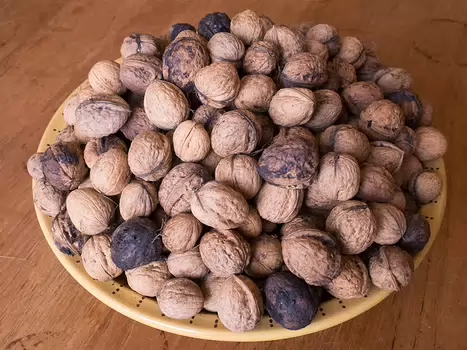 Alain Alain Z, détail sortie