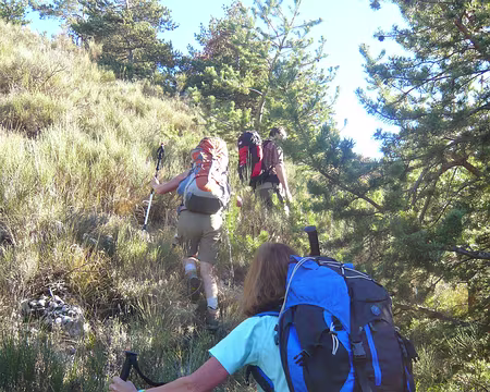 PXL055 Tout-terrain. La trace du PR est perdue.