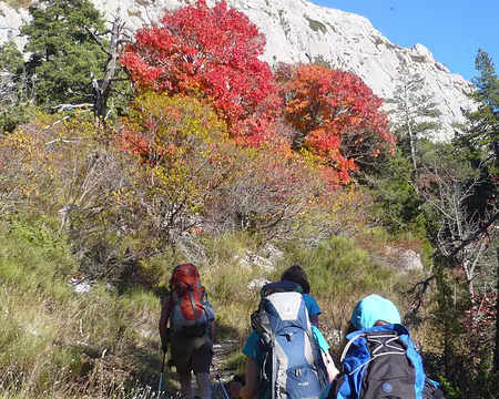 PXL060 Le chemin de ronde sous la falaise.