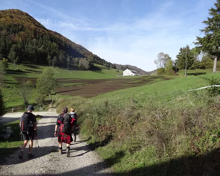 Un champ fraichement recouvert de lisier Un champ fraichement recouvert de lisier