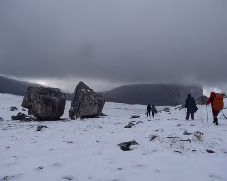 Sur les Hauts Plateaux de Chartreuse Sur les Hauts Plateaux de Chartreuse