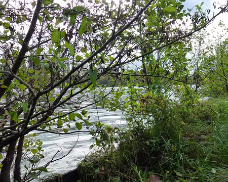 PXL001 d'automne, luminosité et