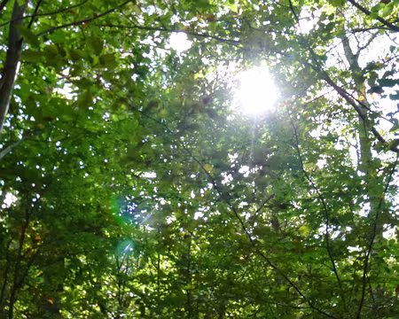 PXL008 jeux d'ombre et