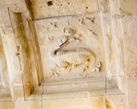 IMG_8624 La salamandre de François 1e