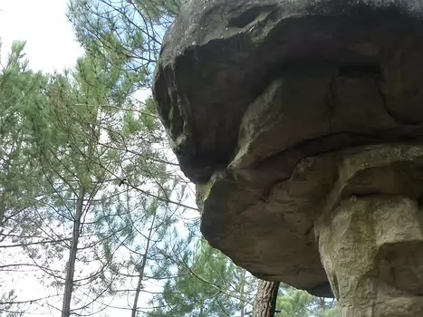 2014-10 Trois pignons