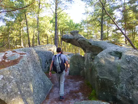 Bernadette Bernadette P, détail sortie