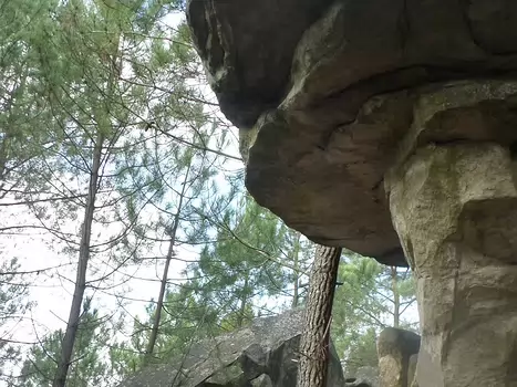 Estelle Estelle C, détail sortie