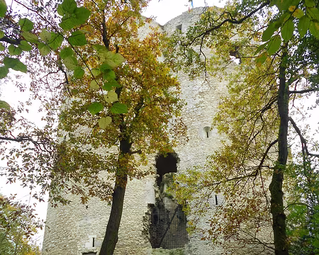 PXL001 Tour de Guinette