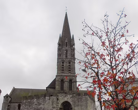 PXL008 Collégiale Notre-Dame-du-Fort, XIè s.