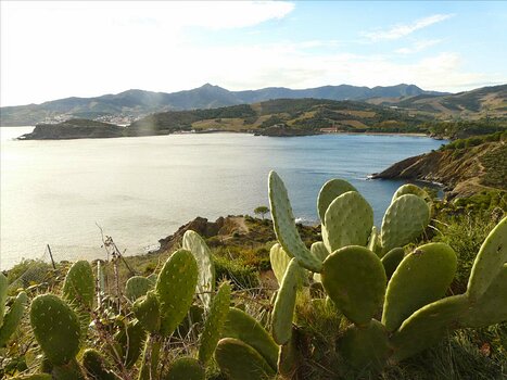 Christophe Christophe L, détail sortie