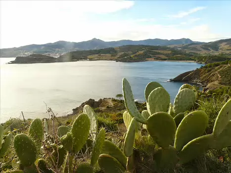 Christophe Christophe L, détail sortie