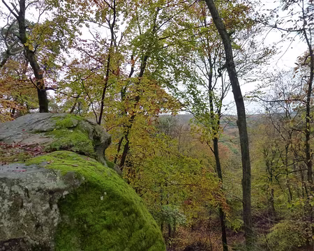 PXL001 Jamais une erreur les mots ne mentent pas