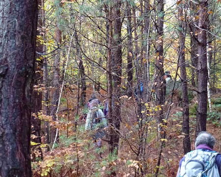 PXL005 Tous les secrets tous les sourires