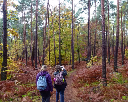 PXL007 À la croire toute nue.
