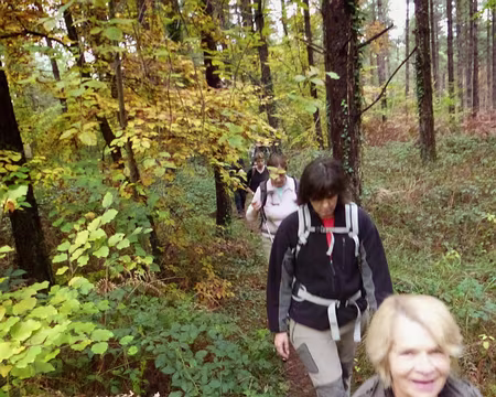 PXL011 Des ailes couvrent les feuilles