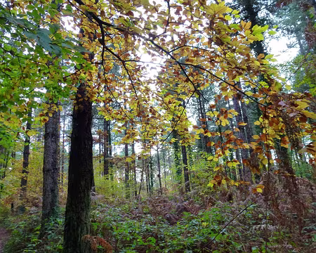 PXL013 Tout le soleil sur la terre