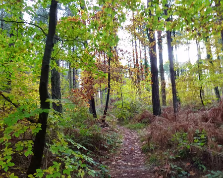 PXL014z1632 Sur les chemins de ta beauté.Paul Eluard, L’amour la poésie, 1929.