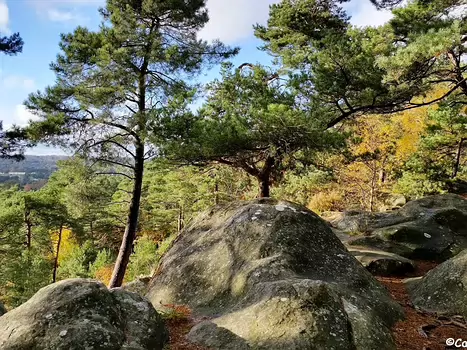 2014-11 Fontainebleau 2