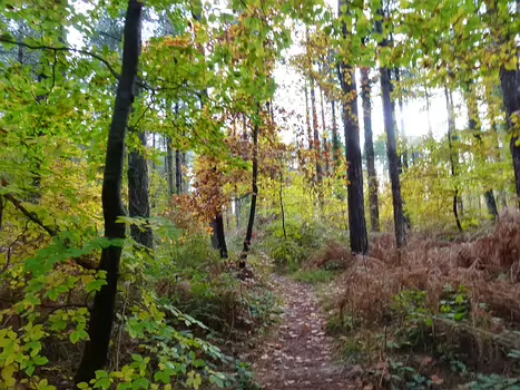 Martine Martine D, détail sortie