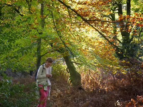 2014-11 Fontainebleau