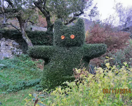 022 Le chat du Mont du Chat