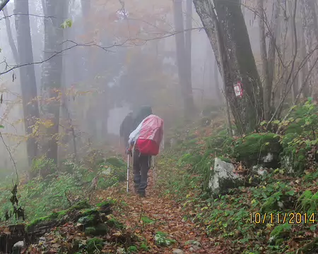 028 Il pleut toujours !!