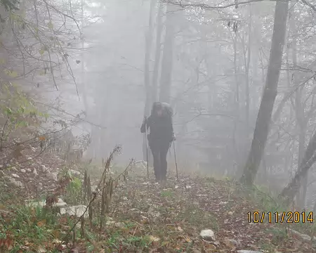 034 Toujours dans la brume