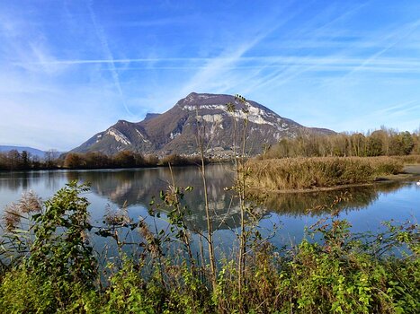 Martine Martine D, détail sortie