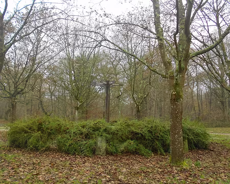 PXL007 ...elle a été aménagée au XVIIIè siècle pour les chasses royales.