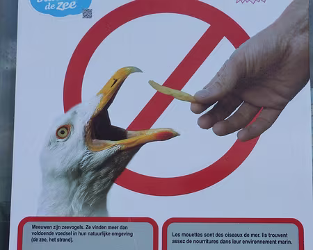 PXL001 Frite interdite pour les mouettes