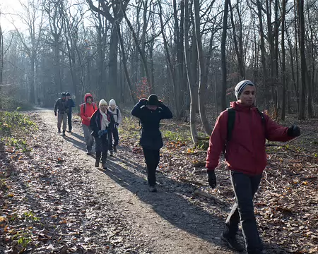 Forêt de la Malmaison