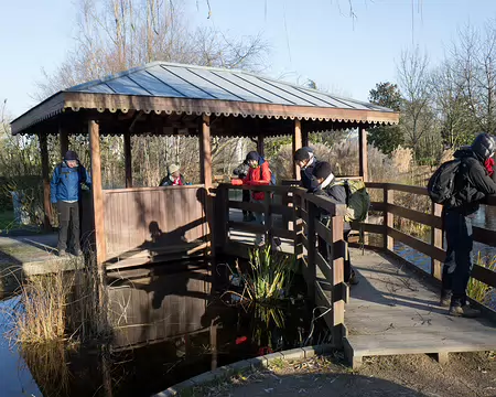 Grenouillère du Parc des Impressionnistess