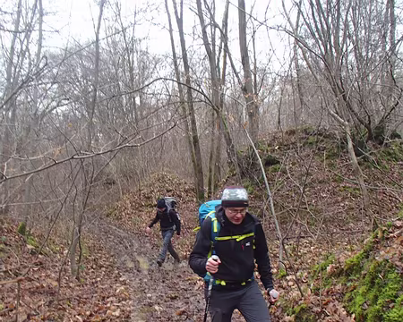 PXL001 Dès le départ, le ton est donné : ça va être boueux, très boueux ; un peu +loin, une vingtaine de sangliers à la queue-leu-leu passent devant nous