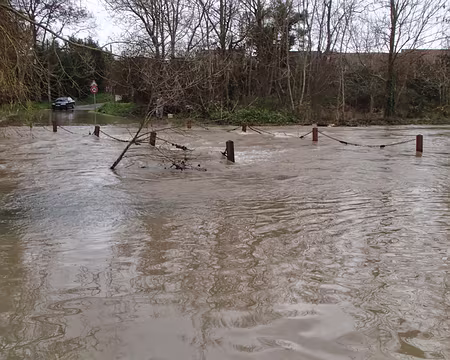 PXL022 Les poissons perdant leurs repères, ces crues/décrues font le bonheur des pêcheurs
