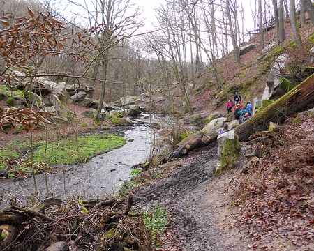 PXL008 Le ru des Vaux dans le val de Cernay