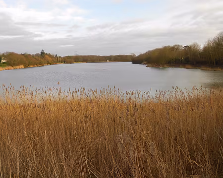 PXL015 Etang du Perray. Merci à Isabelle, future organisatrice.