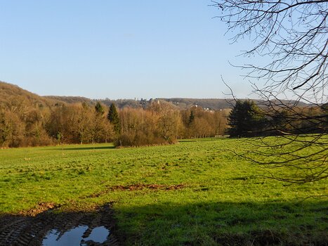 Dominique Dominique F, détail sortie