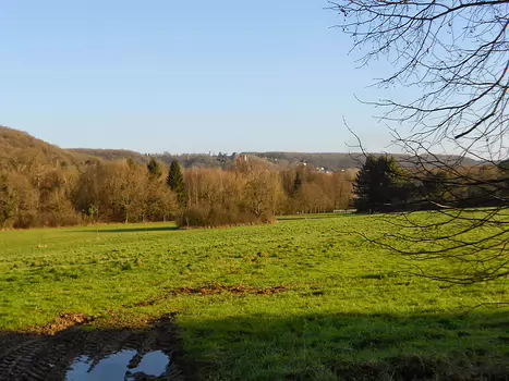 Dominique Dominique F, détail sortie