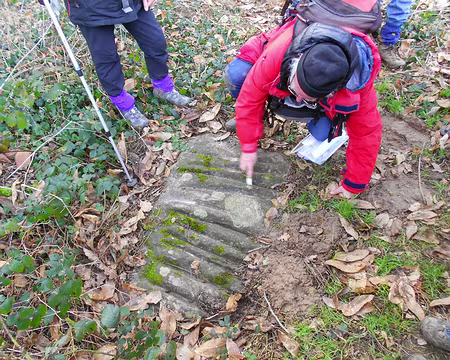 PXL019z1651 Polissoir, la Roche Grénolée, datant du néolithique, Moigny-sur-Ecole