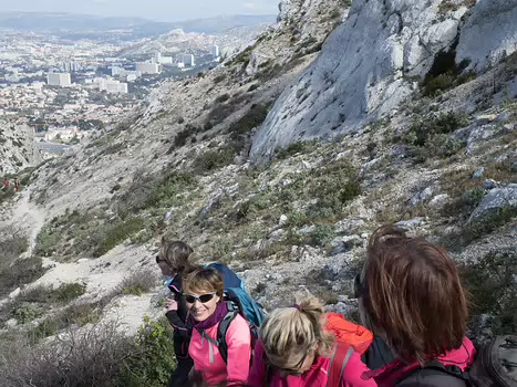 Alain Alain Z, détail sortie