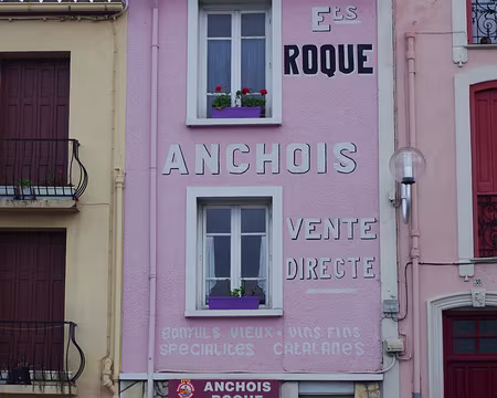 2015_03_21_08h5417 Anchois de Collioure