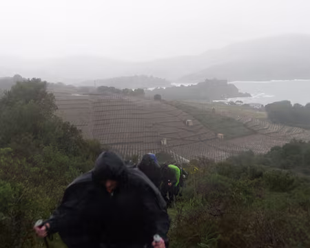 2015_03_21_13h4537 Nos montons au Puig de Les Elmes