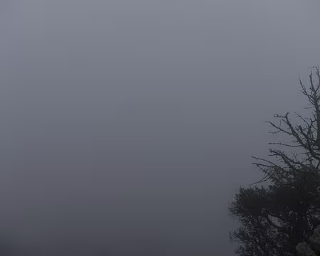 2015_03_22_09h1135 Panorama vers Banyuls depuis la tour de Madeloc