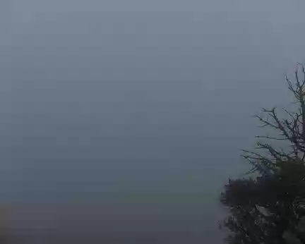 2015_03_22_09h1135 Panorama vers Banyuls depuis la tour de Madeloc